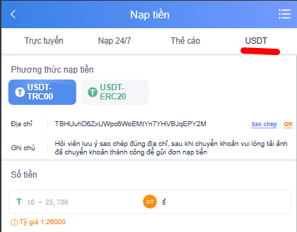 Nạp tiền VZ99 qua usdt